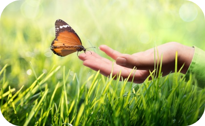 Sustainability through humidity